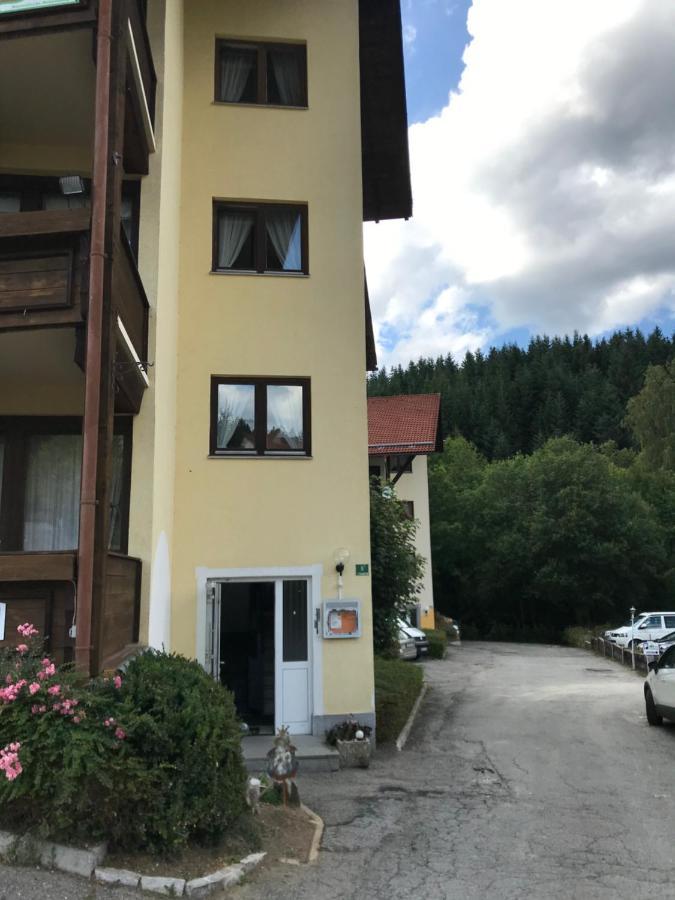 Eisenstein Apartment Bayerisch Eisenstein Luaran gambar